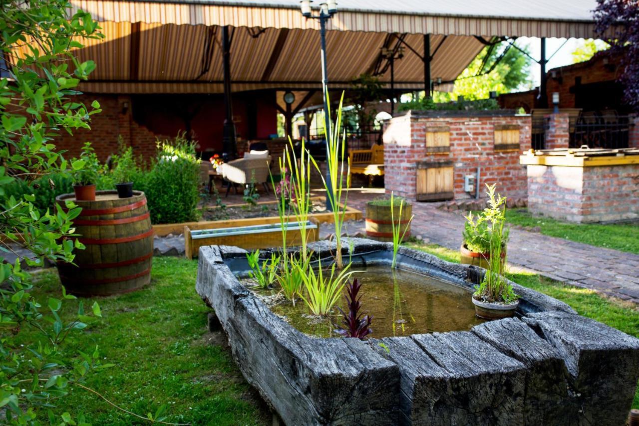 Hotel Vineyard Inn - Szoloskert 瑙吉考尼饶 外观 照片