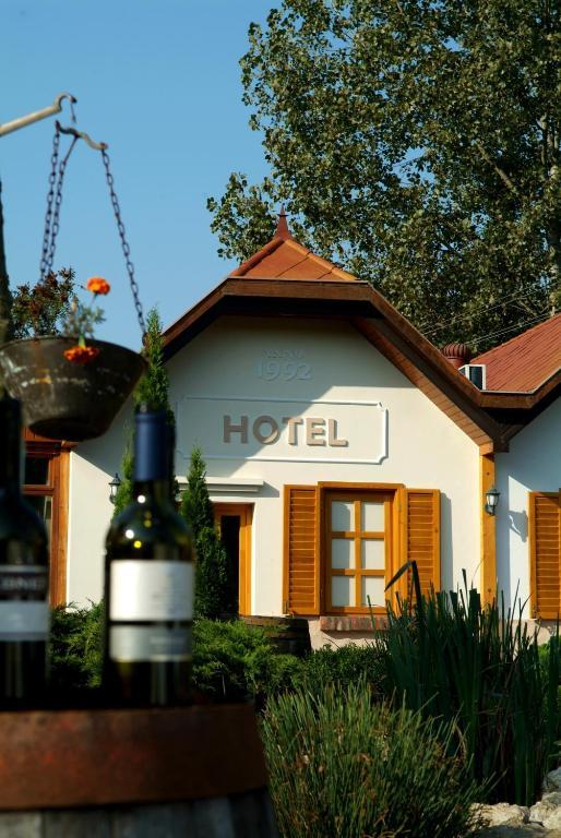 Hotel Vineyard Inn - Szoloskert 瑙吉考尼饶 外观 照片