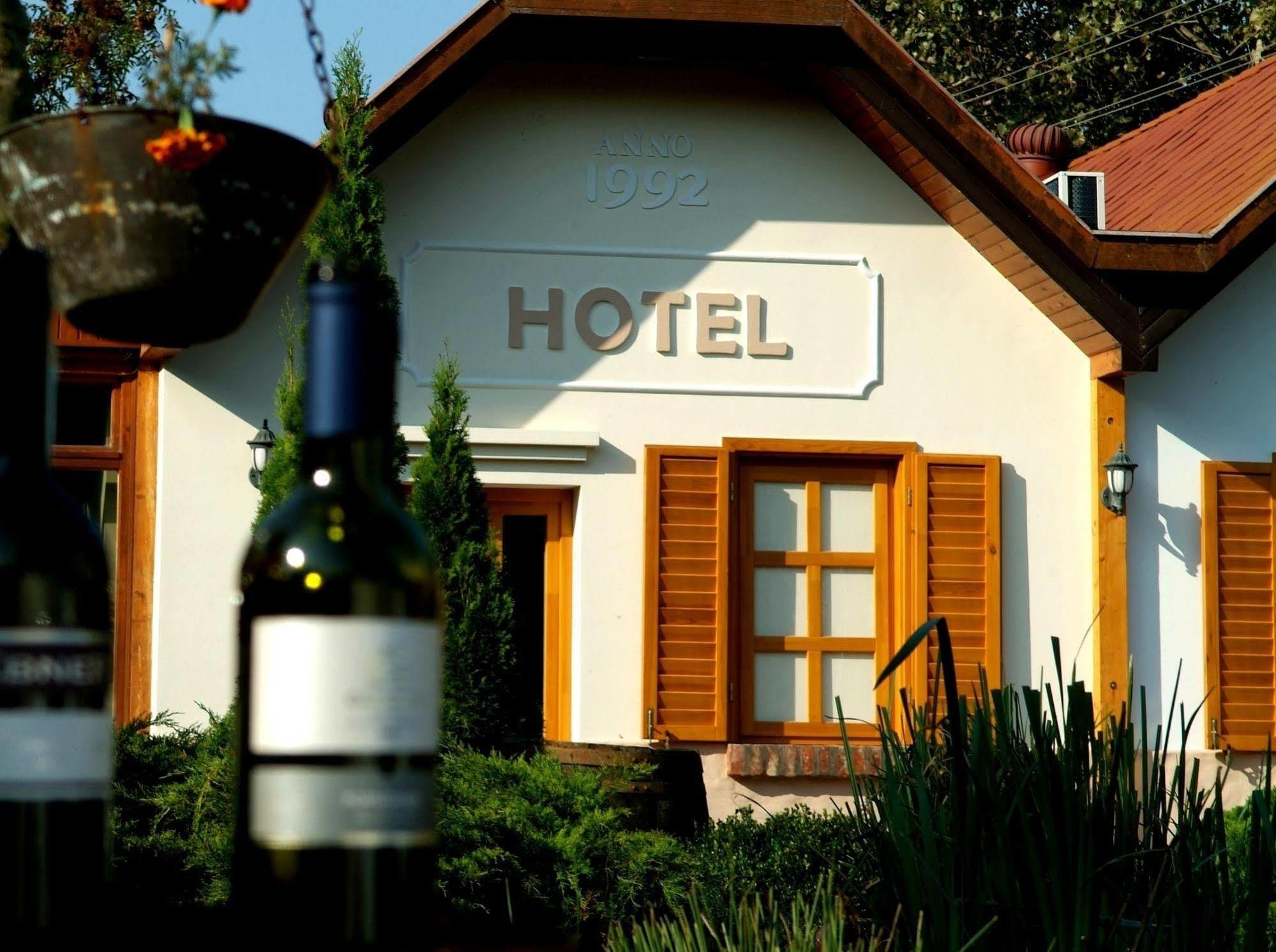 Hotel Vineyard Inn - Szoloskert 瑙吉考尼饶 外观 照片