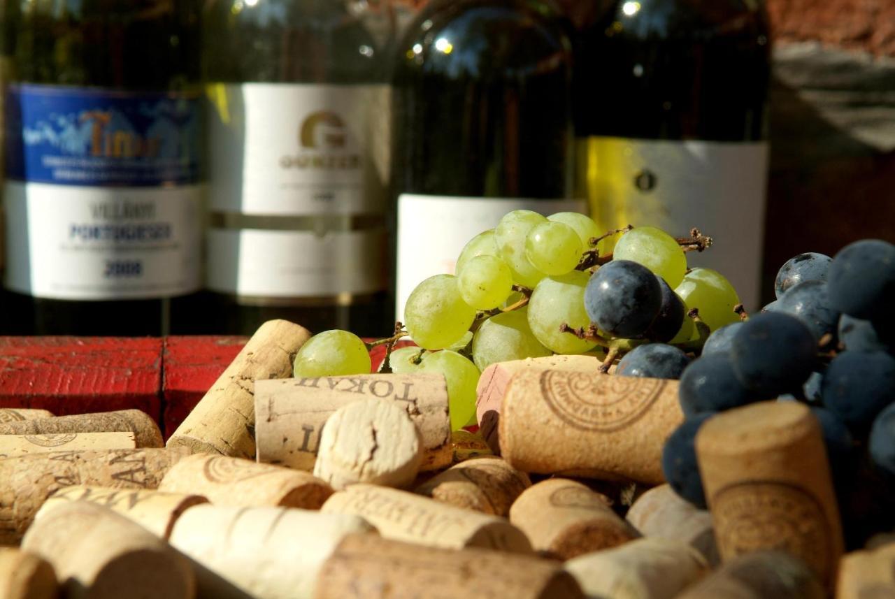 Hotel Vineyard Inn - Szoloskert 瑙吉考尼饶 外观 照片